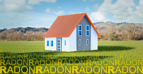 A digital model of a home sits in a grassy field. The word "Radon" repeats in yellow text below the house.